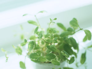 東京臨床心理カウンセリング学院へようこそ！